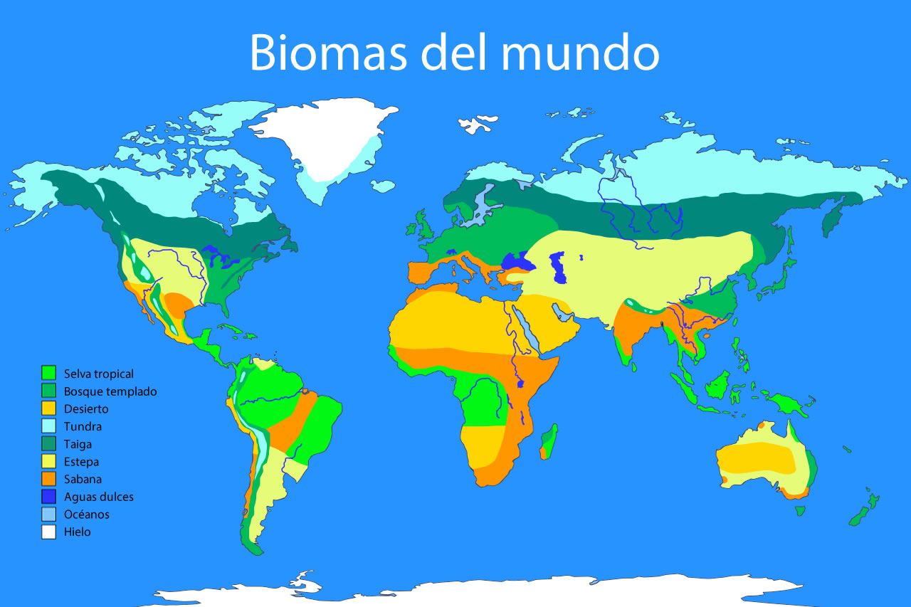 Principais Biomas Do Mundo MODISEDU